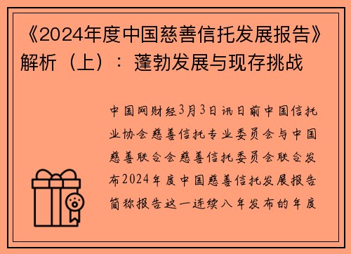《2024年度中国慈善信托发展报告》解析（上）：蓬勃发展与现存挑战