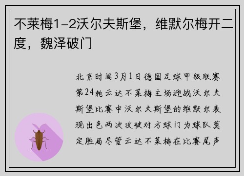 不莱梅1-2沃尔夫斯堡，维默尔梅开二度，魏泽破门