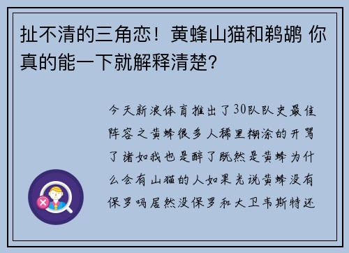扯不清的三角恋！黄蜂山猫和鹈鹕 你真的能一下就解释清楚？