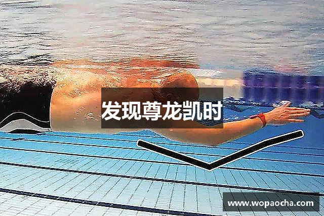 发现尊龙凯时